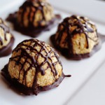 The Slim Palate Paleo Cookbook Review and Paleo Chocolate Dipped Coconut Macaroon Recipe