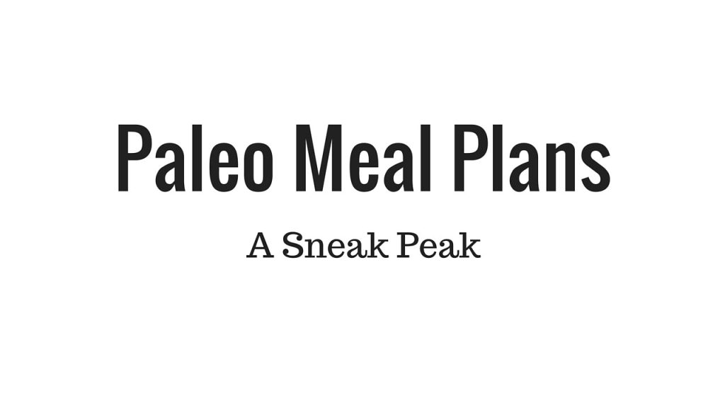 Paleo Meal Plans Walkthrough