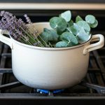 Summer Simmer Pot Recipe – The Paleo Diet®