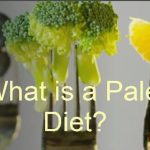 What is a Paleo diet