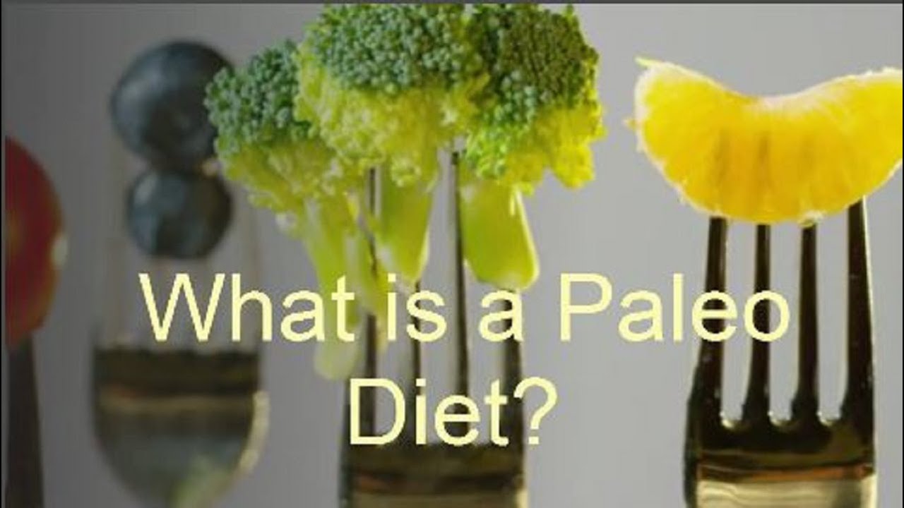 What is a Paleo diet