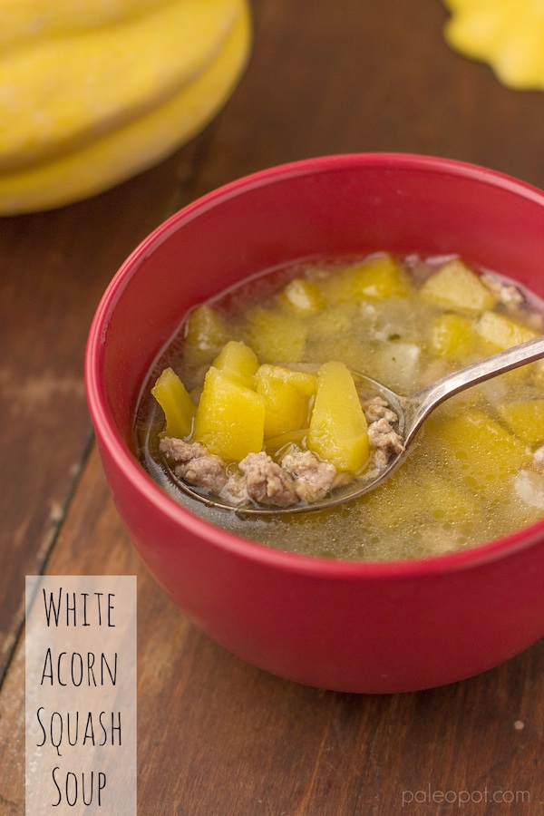 Crock Pot Turkey Soup with Acorn Squash – PaleoPot