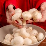 Culinary Tips and Health Benefits of Mushrooms